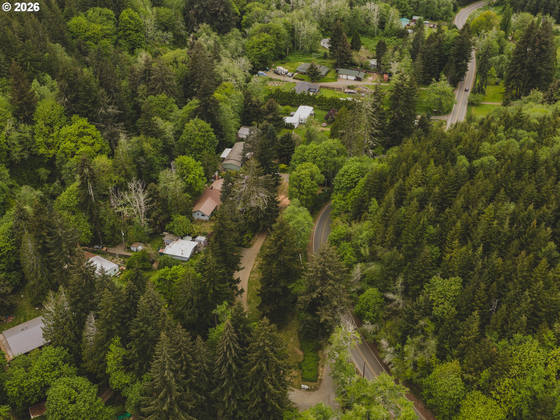 1100 North New Bridge Road Otis, OR 97368 - Photo 23 of 28 a view of a forest