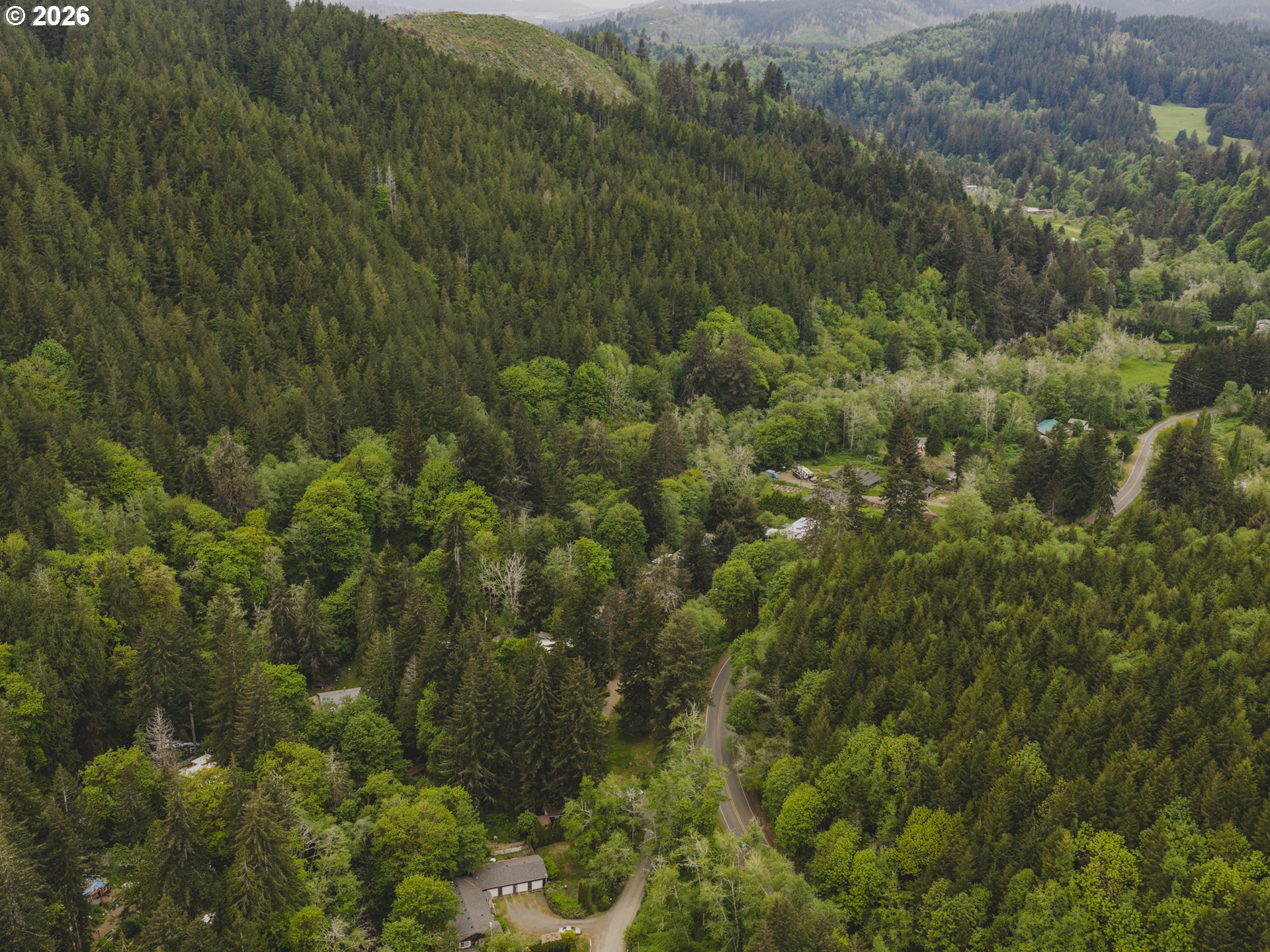 1100 North New Bridge Road Otis, OR 97368 - Photo 24 of 28 a view of a forest with a lush green forest