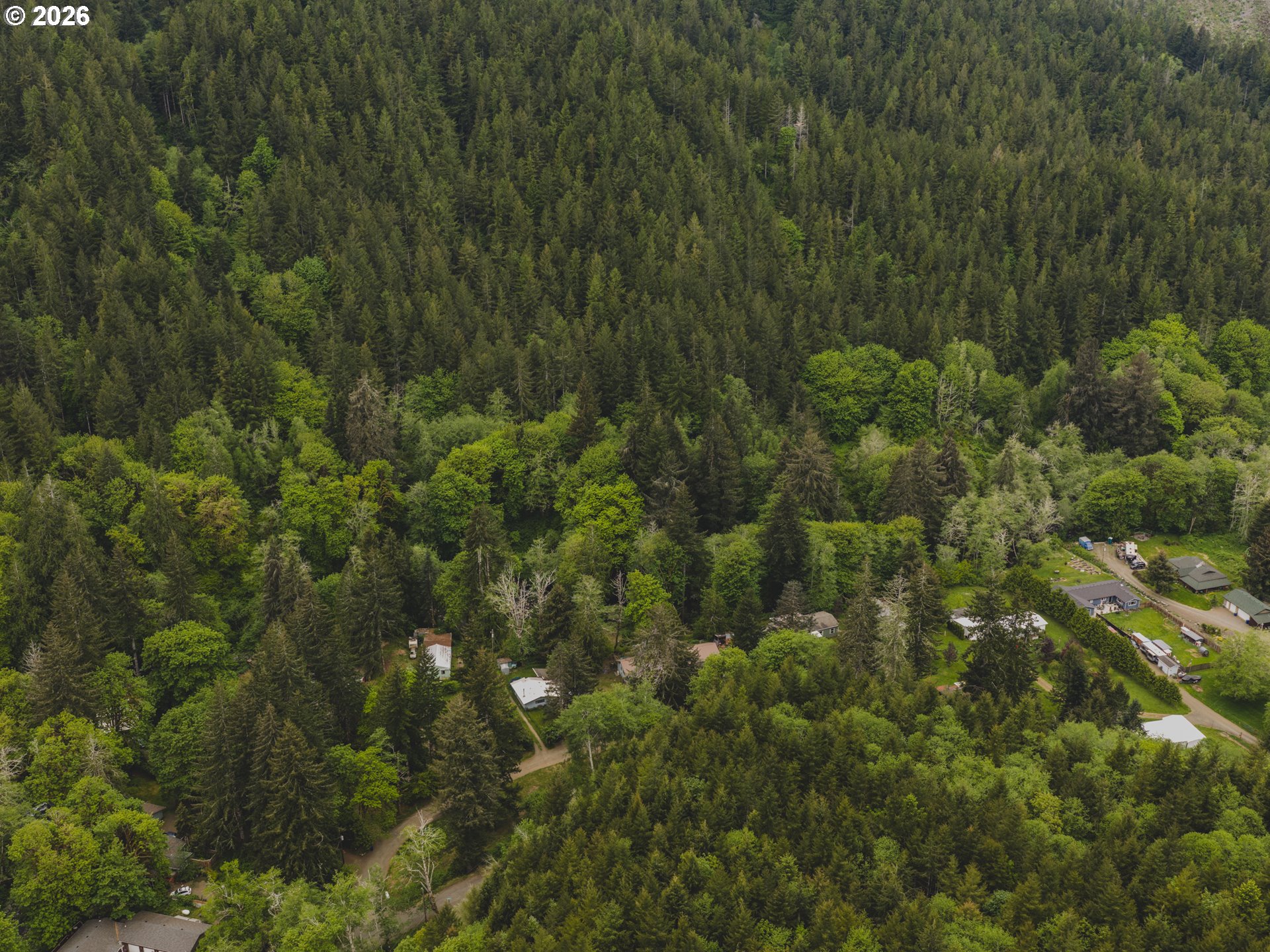 1100 North New Bridge Road Otis, OR 97368 - Photo 25 of 28 a view of a lush green forest with lots of trees
