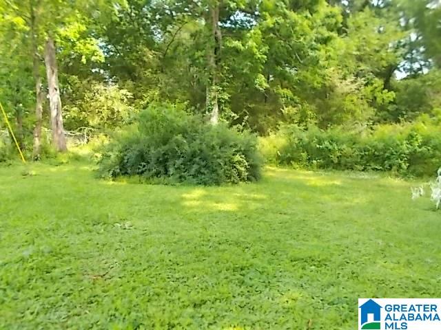 3136 Mulga Loop Road Birmingham, AL 35224 - Photo 15 of 17