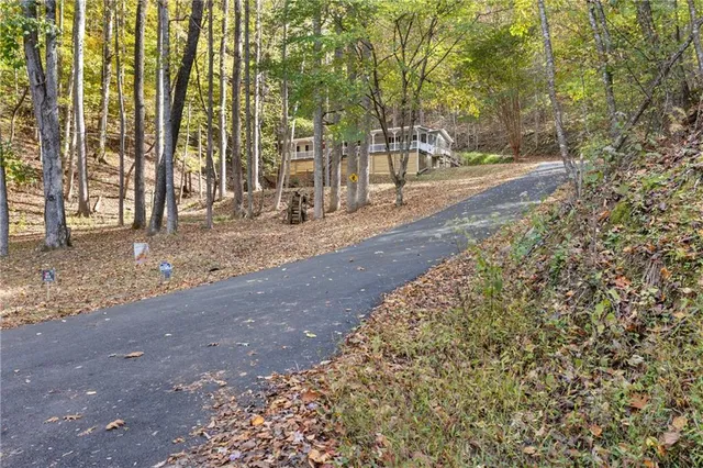 a view of a yard with pathway