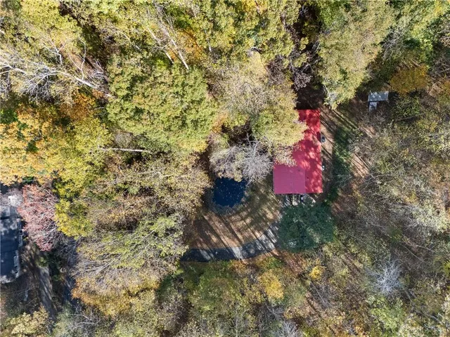 a view of a yard with plants