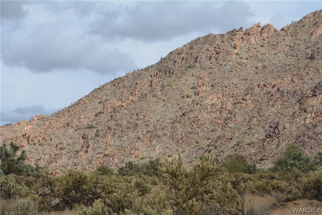 11690 Hansen Road Yucca, AZ 86438 - Photo 3 of 68