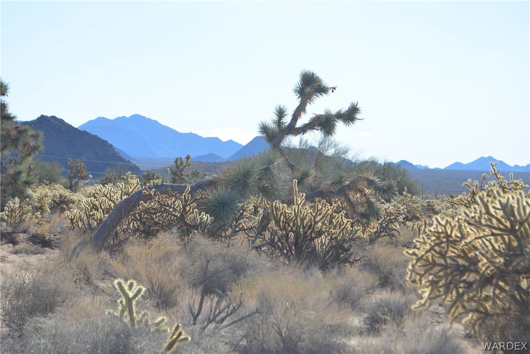 11690 Hansen Road Yucca, AZ 86438 - Photo 34 of 68