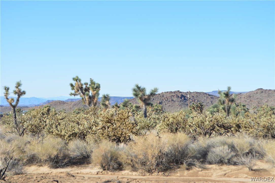 11690 Hansen Road Yucca, AZ 86438 - Photo 40 of 68