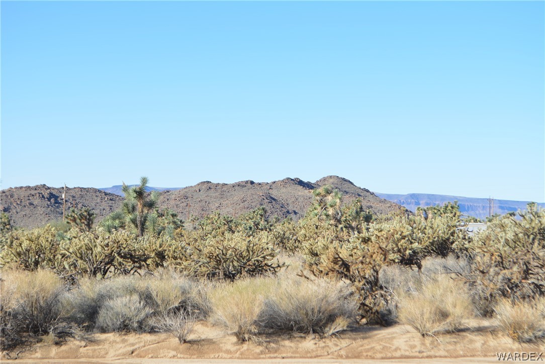 11690 Hansen Road Yucca, AZ 86438 - Photo 41 of 68