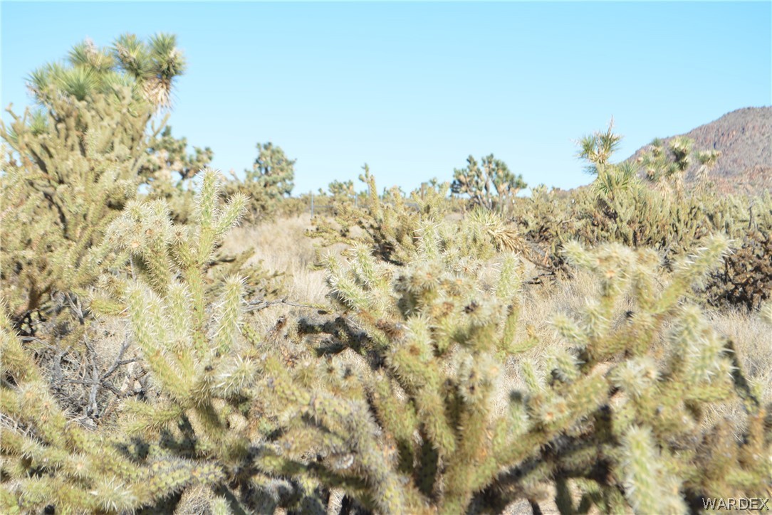11690 Hansen Road Yucca, AZ 86438 - Photo 45 of 68