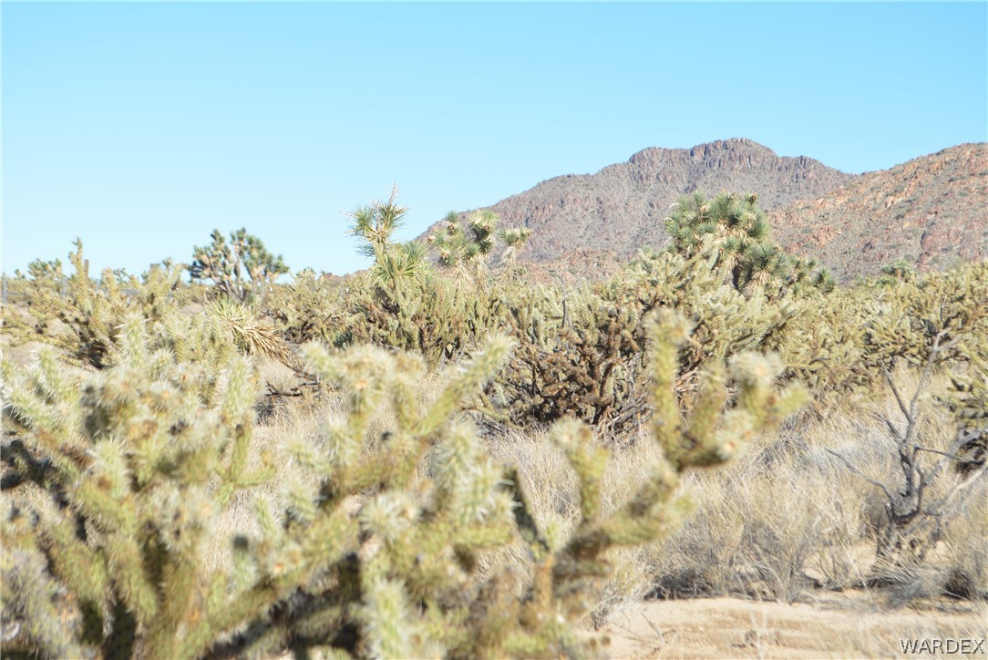 11690 Hansen Road Yucca, AZ 86438 - Photo 46 of 68