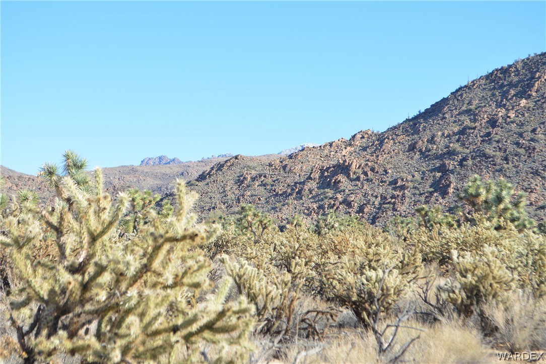 11690 Hansen Road Yucca, AZ 86438 - Photo 47 of 68