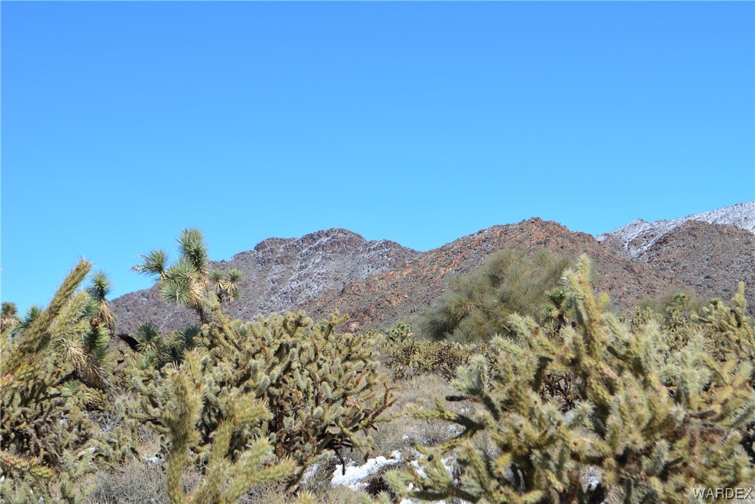 11690 Hansen Road Yucca, AZ 86438 - Photo 49 of 68