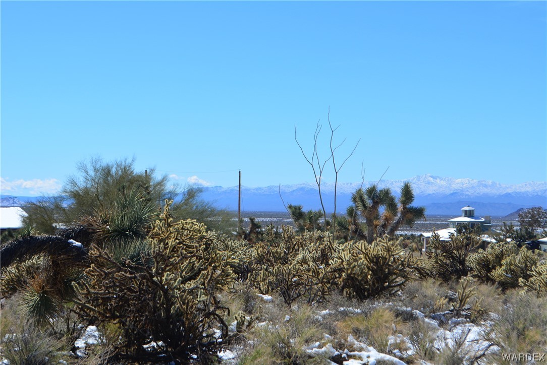 11690 Hansen Road Yucca, AZ 86438 - Photo 63 of 68