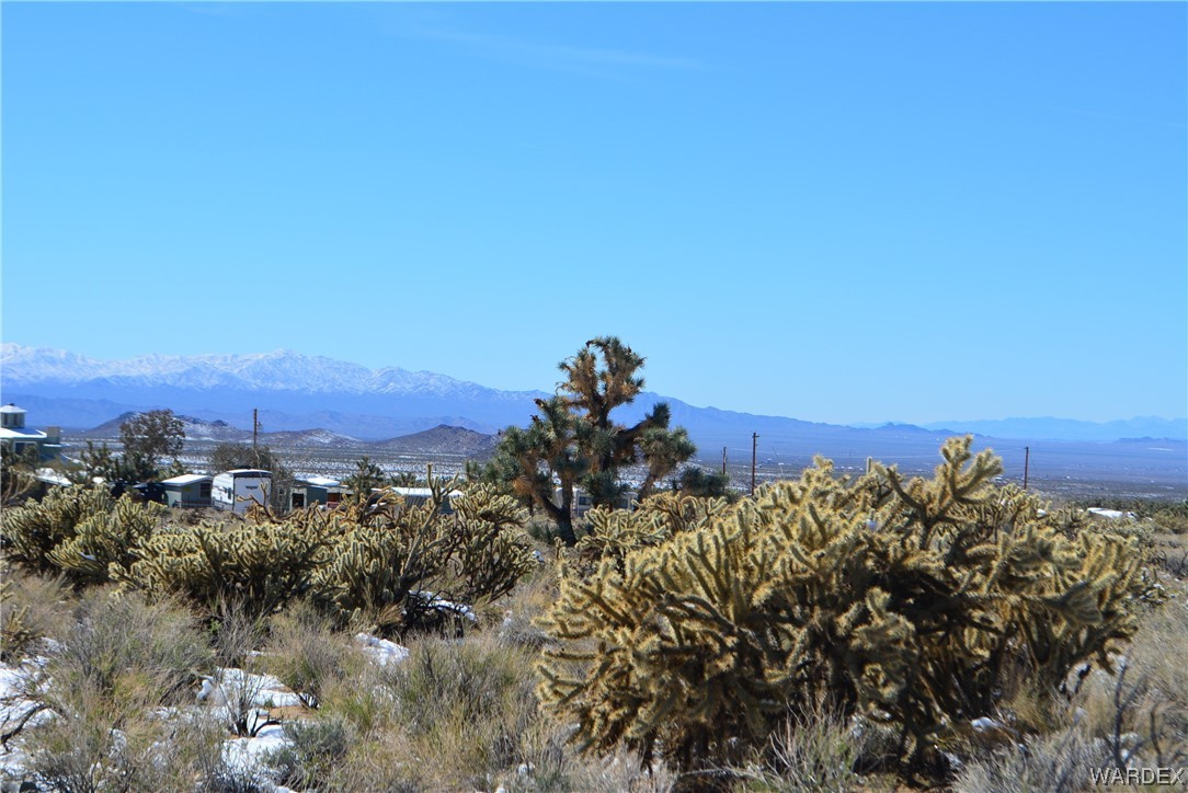 11690 Hansen Road Yucca, AZ 86438 - Photo 65 of 68