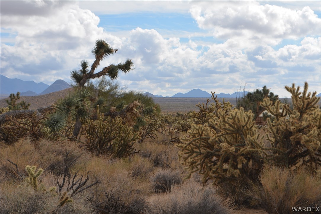 11690 Hansen Road Yucca, AZ 86438 - Photo 10 of 68