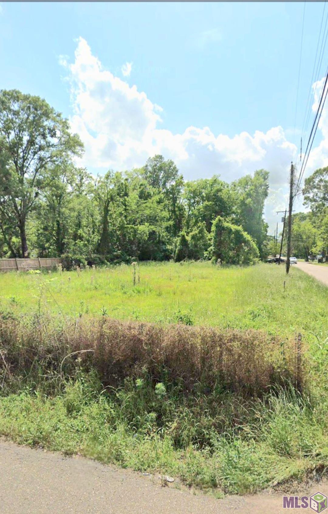 Lot 3 Peerless Street Baton Rouge, LA 70811 - Photo 3 of 4 Gallery Image 3