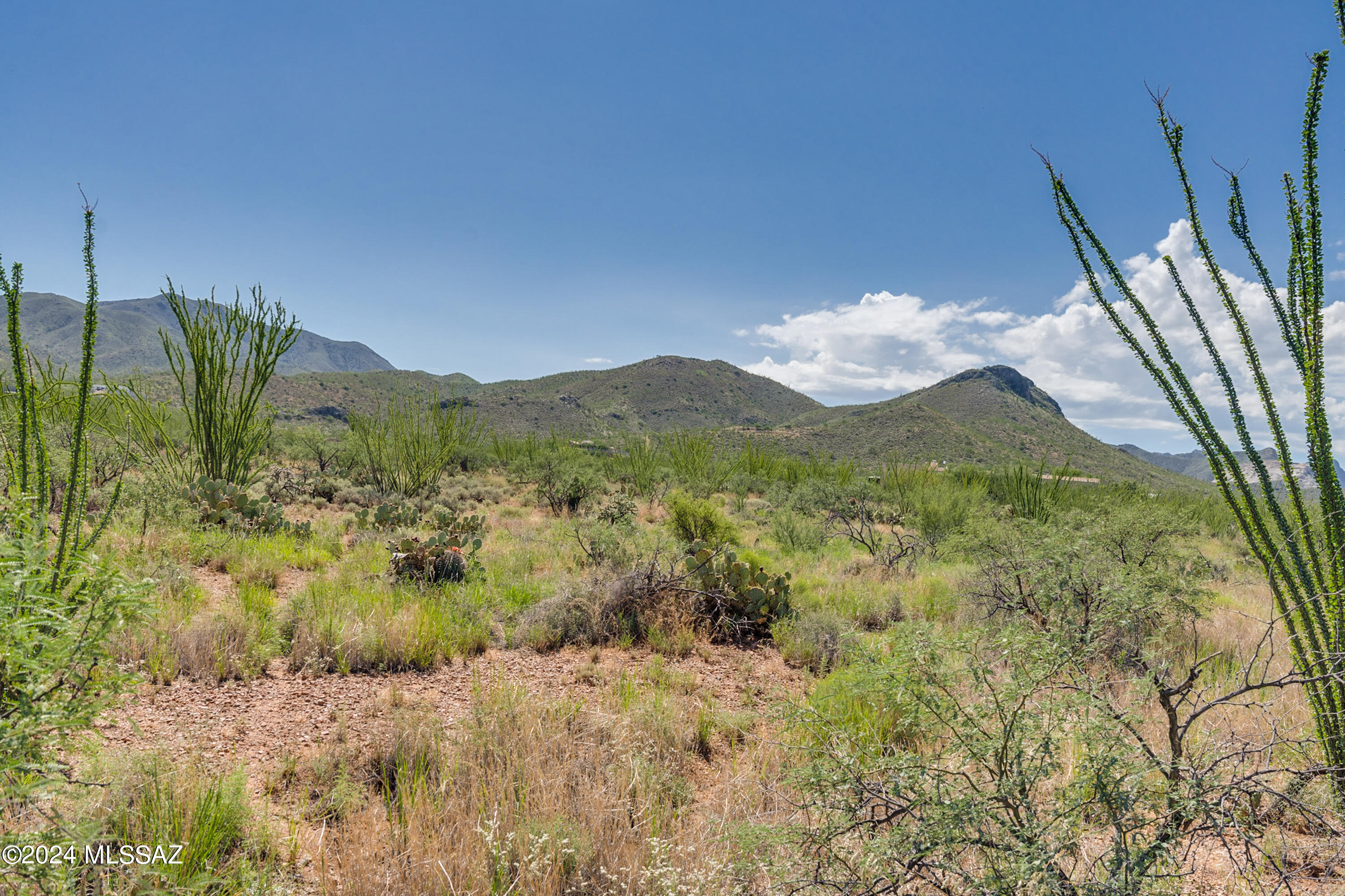 9789 East Ocotillo Rim Trail Vail, AZ 85641 - Photo 22 of 29 Ocotillo Rim Trl-4
