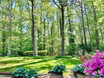 a view of a backyard with garden