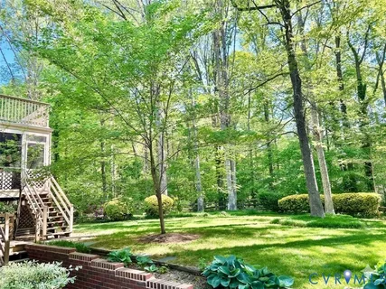 a view of a park with large trees
