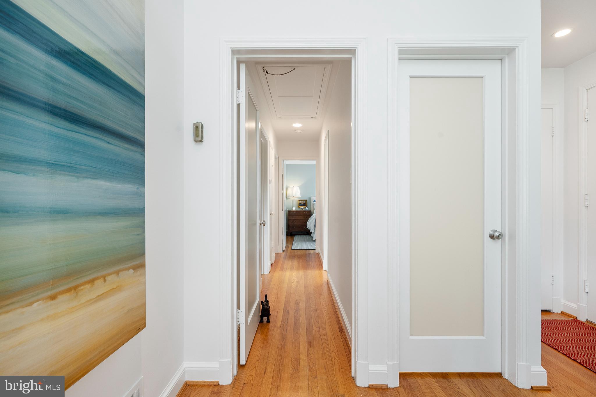 1611 45th Street Northwest Washington, DC 20007 - Photo 11 of 53 The hardwood floors shine!