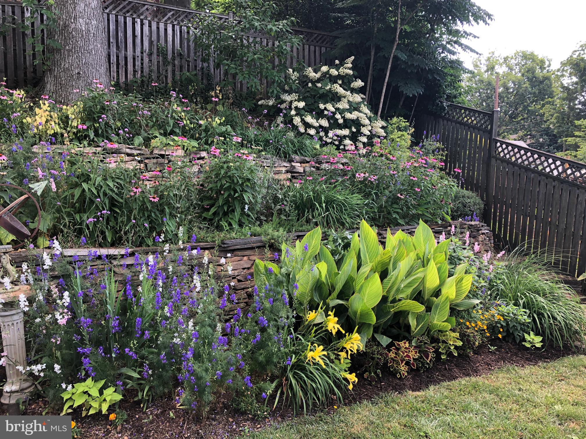 1611 45th Street Northwest Washington, DC 20007 - Photo 14 of 53 The gardens in full bloom!