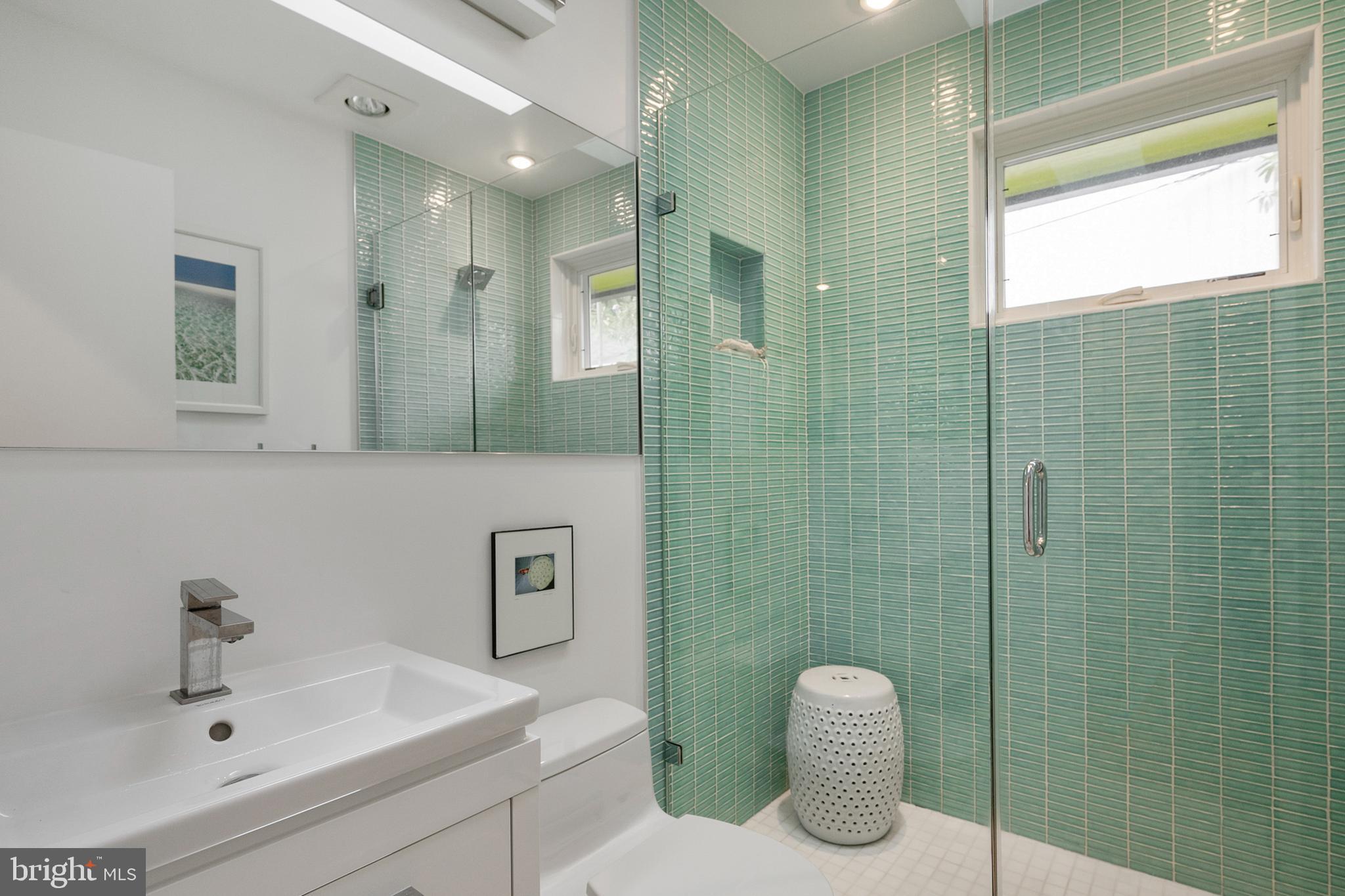 1611 45th Street Northwest Washington, DC 20007 - Photo 16 of 53 Luxury Primary Bathroom