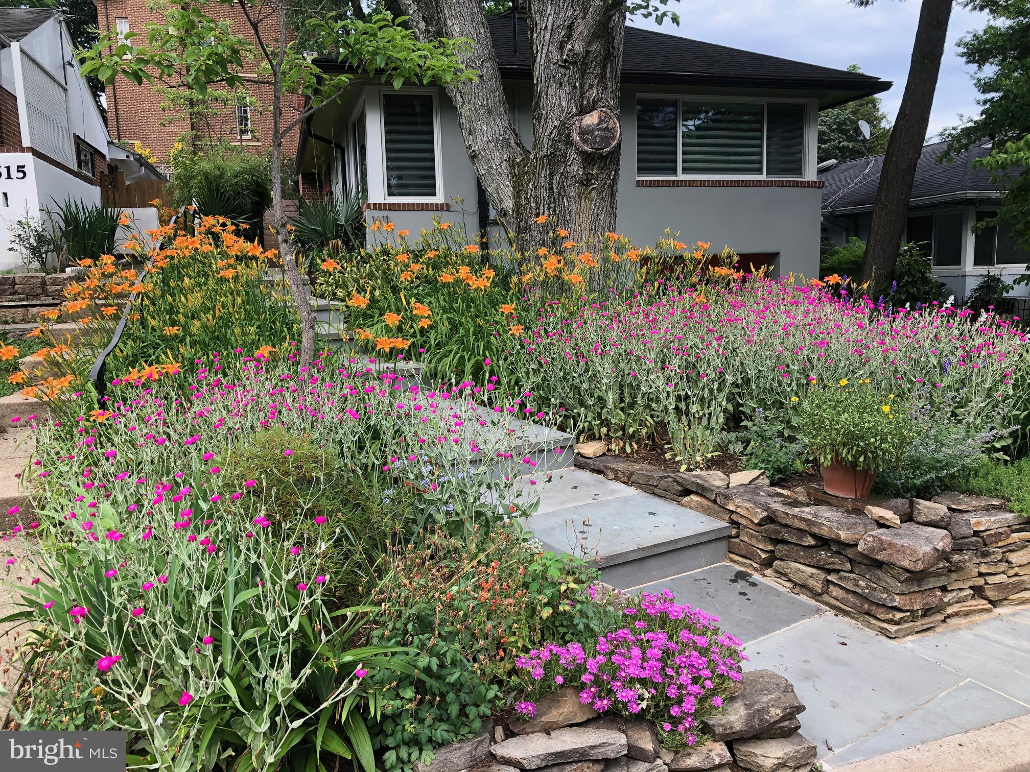 1611 45th Street Northwest Washington, DC 20007 - Photo 2 of 53 Look at this summer curb appeal!