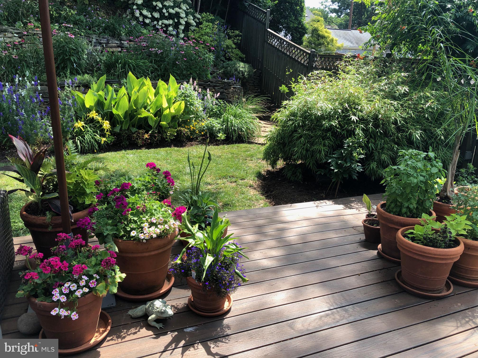1611 45th Street Northwest Washington, DC 20007 - Photo 22 of 53 The back deck/yard in Summer!