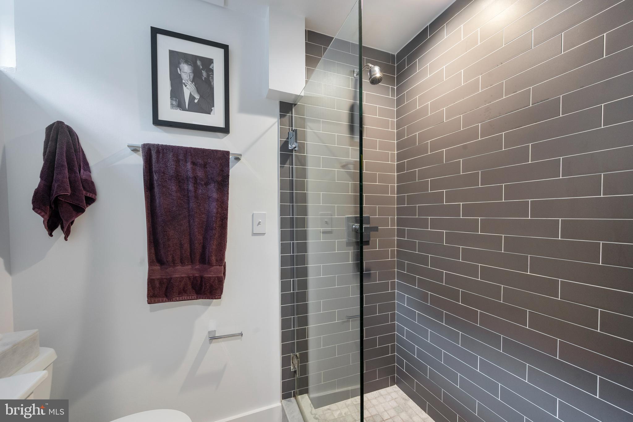 1611 45th Street Northwest Washington, DC 20007 - Photo 28 of 53 Classy Decor