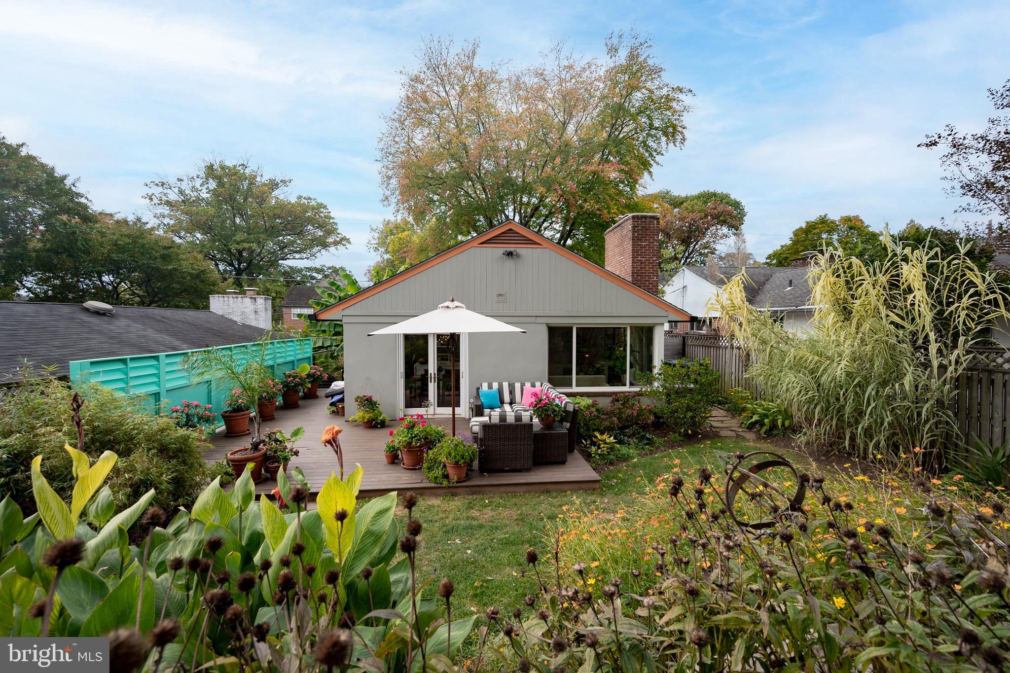 1611 45th Street Northwest Washington, DC 20007 - Photo 32 of 53 Tropical Gardens in DC?