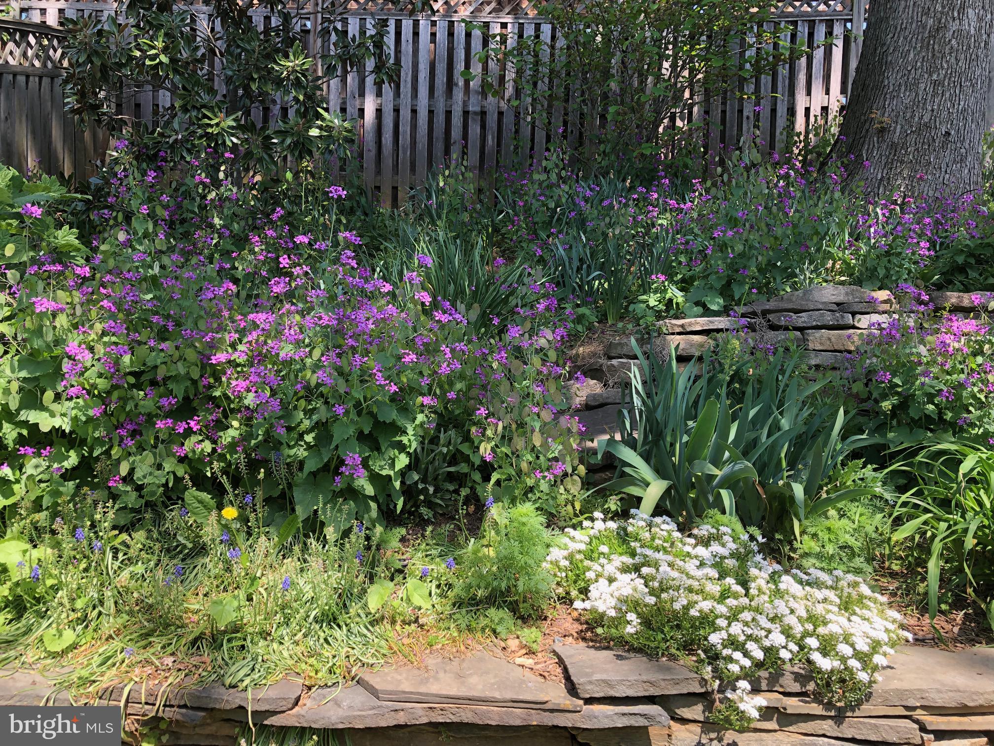 1611 45th Street Northwest Washington, DC 20007 - Photo 53 of 53