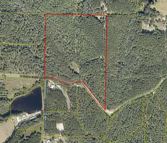 $375,000 | 48-acres East Indian Creek Ranch Road, DeFuniak Springs, FL 32435