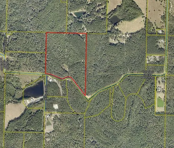 $375,000 | 48-acres East Indian Creek Ranch Road, DeFuniak Springs, FL 32435
