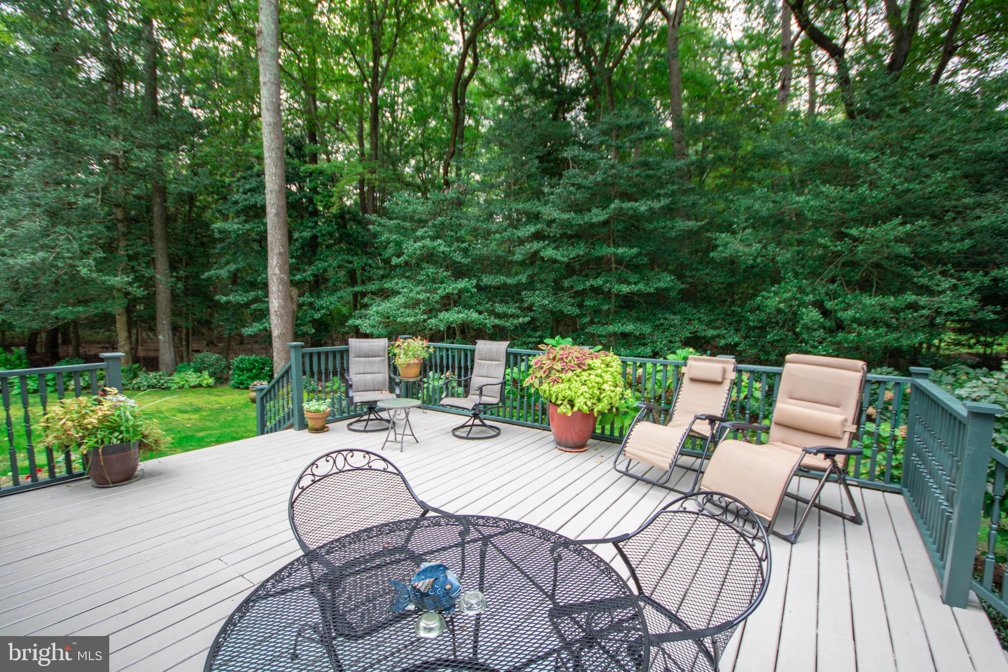 3881 5 Friars Road Salisbury, MD 21804 - Photo 40 of 44 Deck