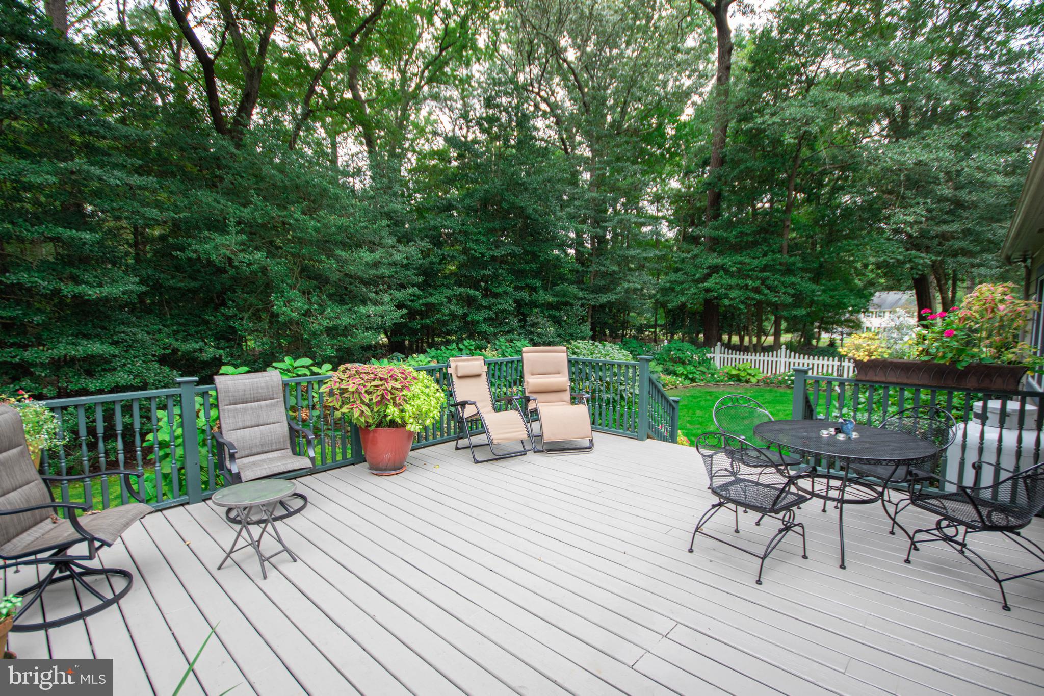 3881 5 Friars Road Salisbury, MD 21804 - Photo 41 of 44 Deck