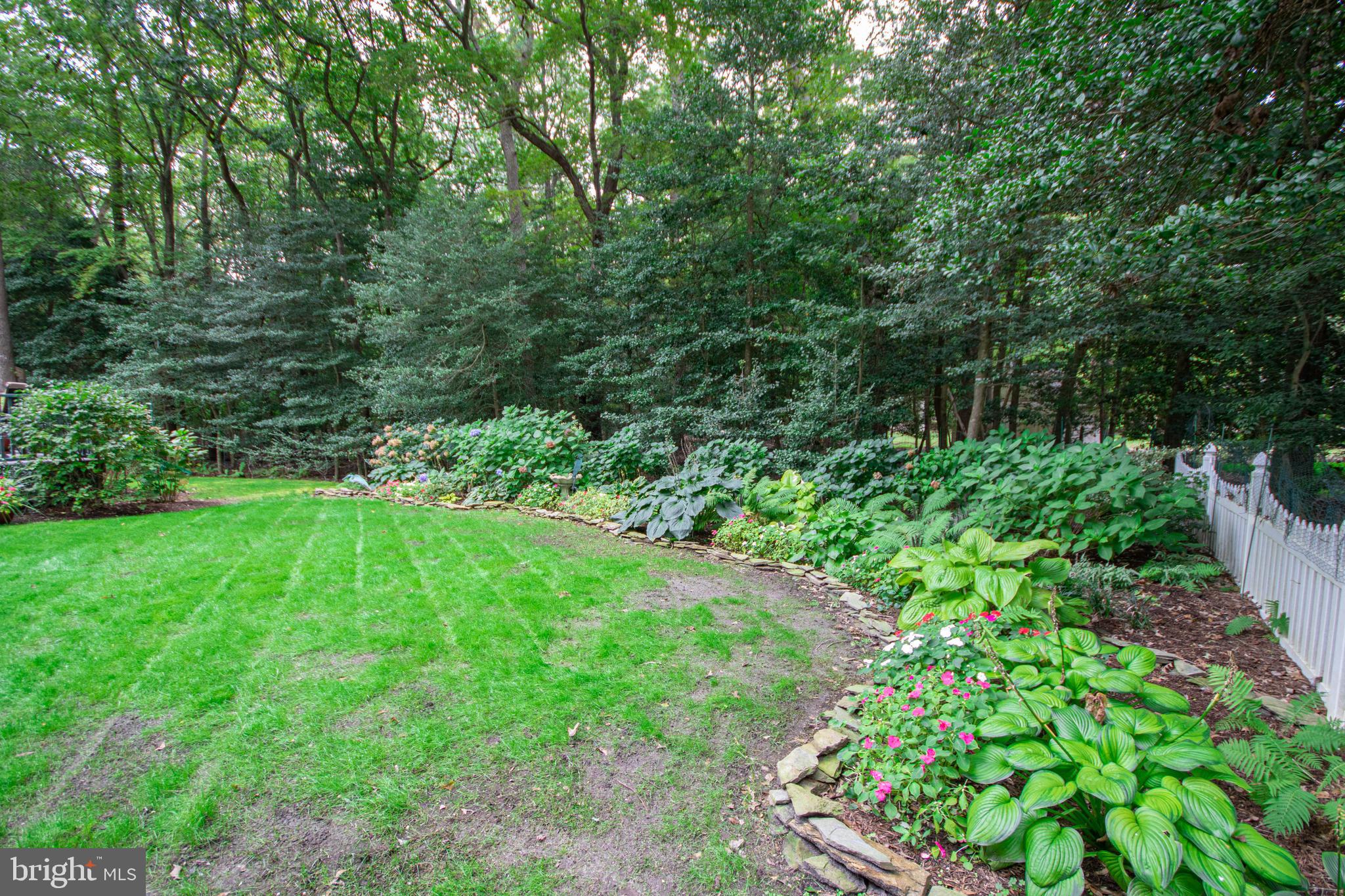 3881 5 Friars Road Salisbury, MD 21804 - Photo 43 of 44 Back yard