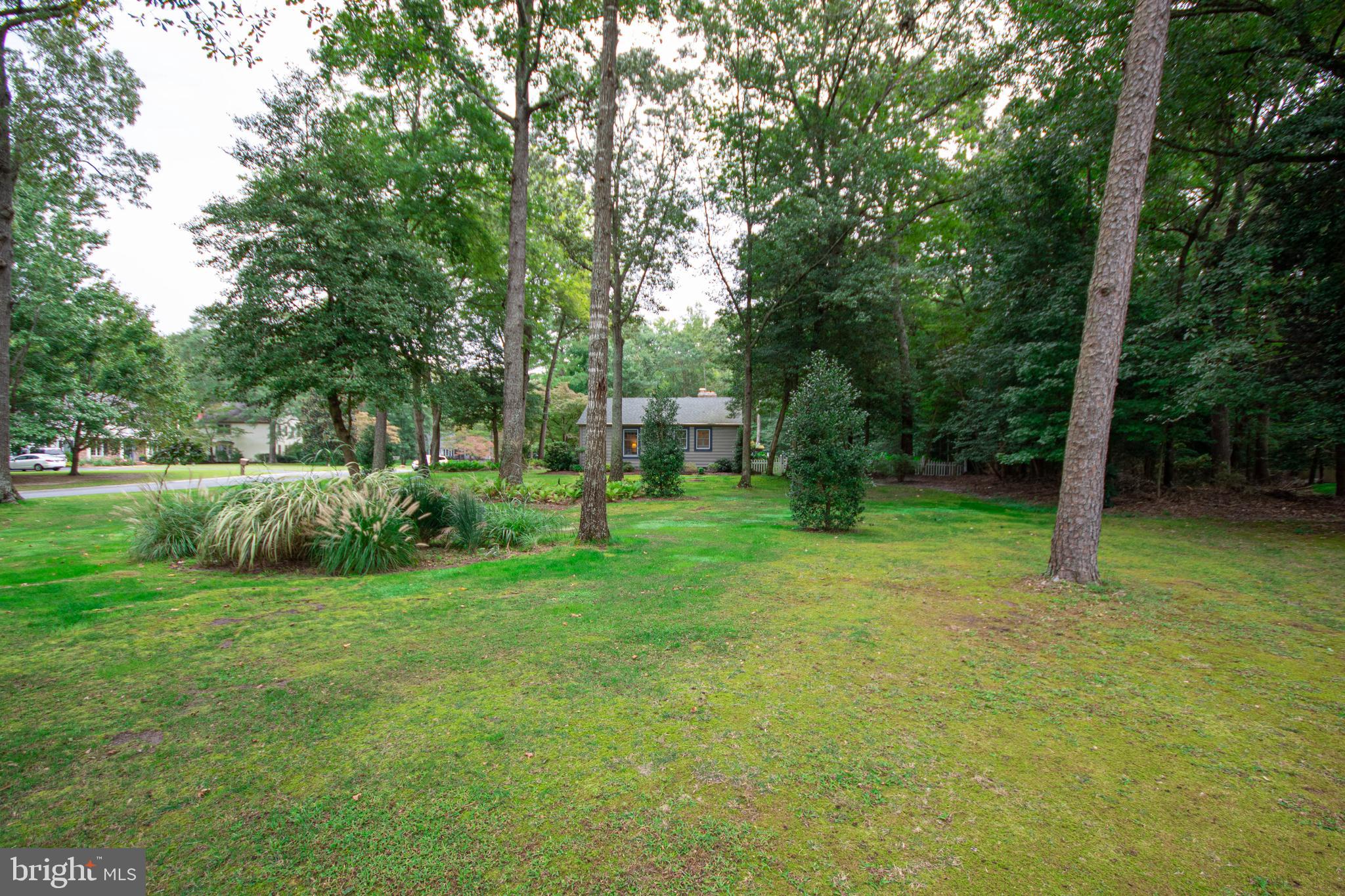 3881 5 Friars Road Salisbury, MD 21804 - Photo 6 of 44 Side yard