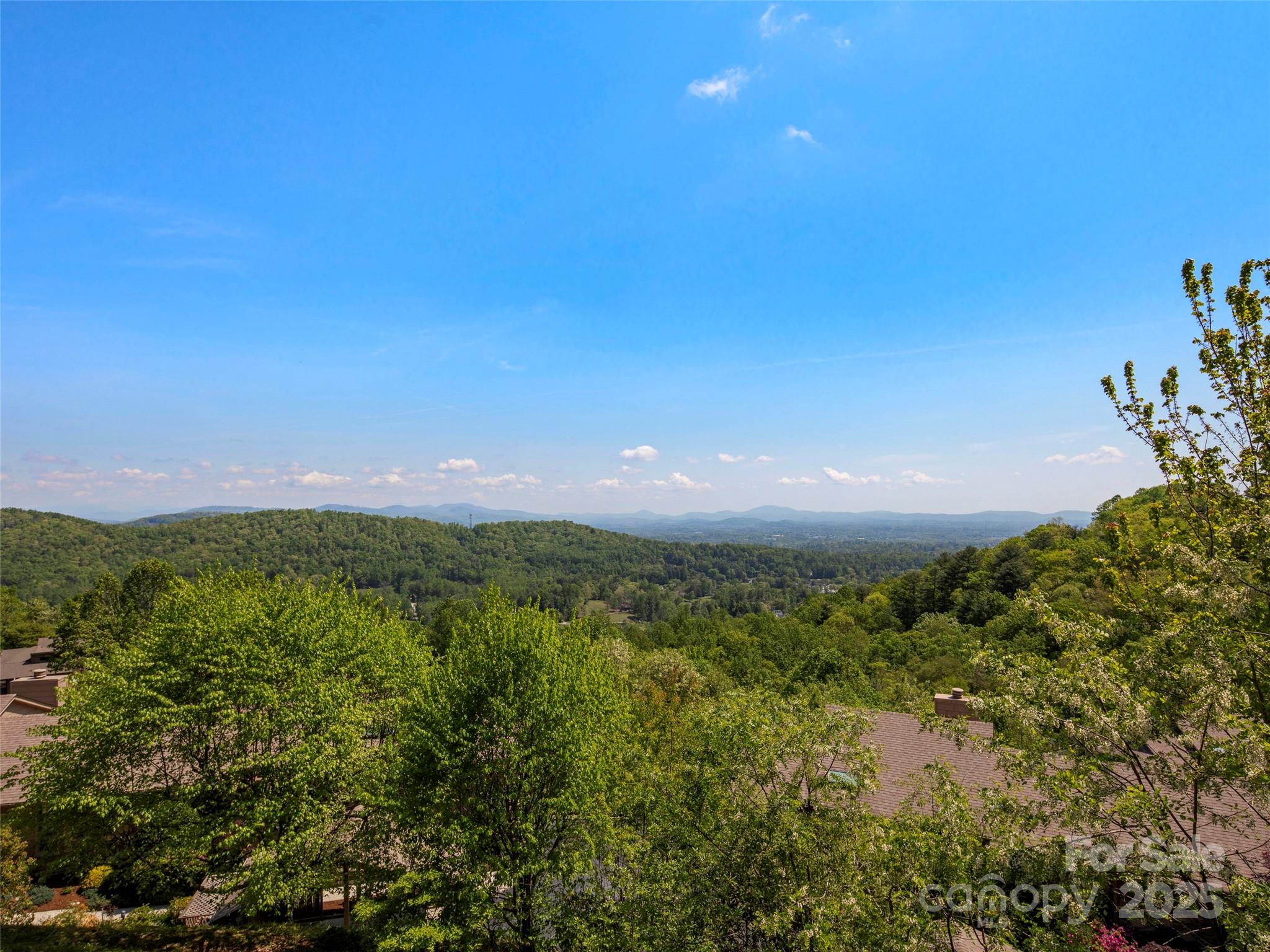 167 Country Ridge Road Laurel Park, NC 28739 - Photo 3 of 27 a view of an ocean