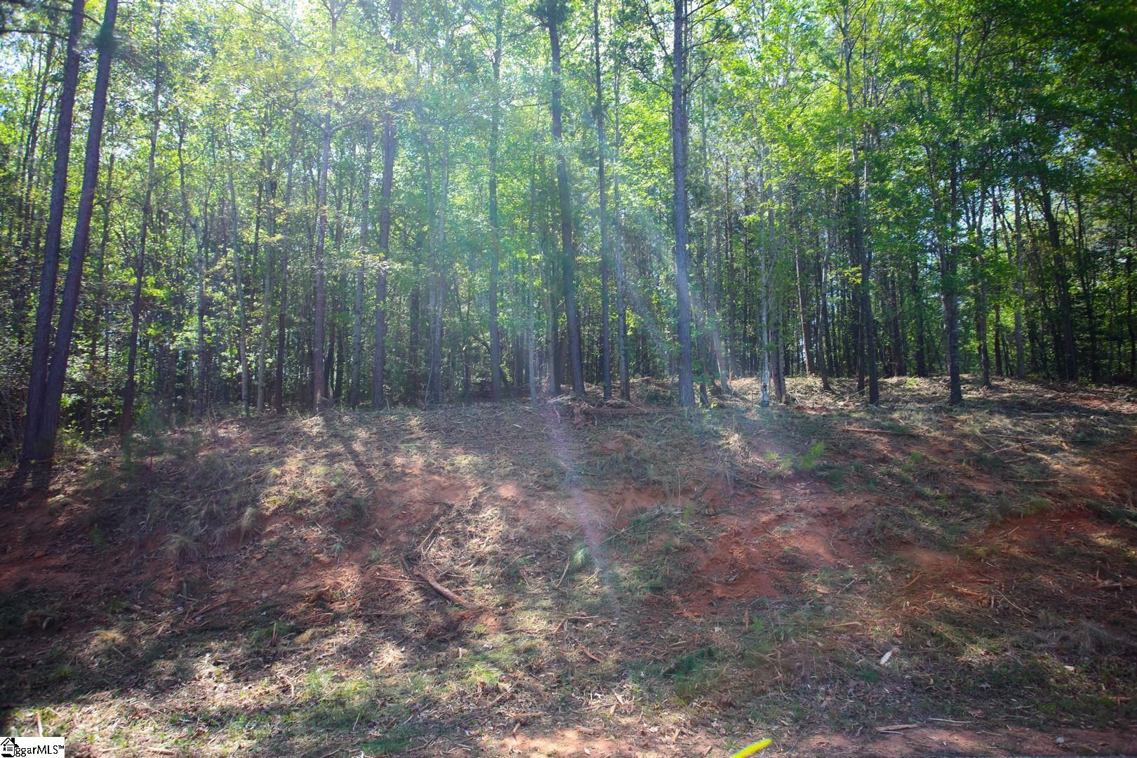 91 Harbor Point Seneca, SC 29672 - Photo 11 of 24 Gallery Image 11
