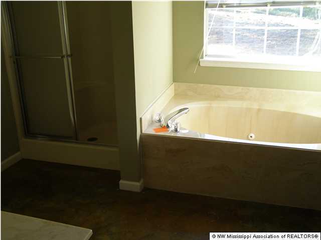 4705 Star Landing Road Nesbit, MS 38651 - Photo 5 of 14 Additional Photo