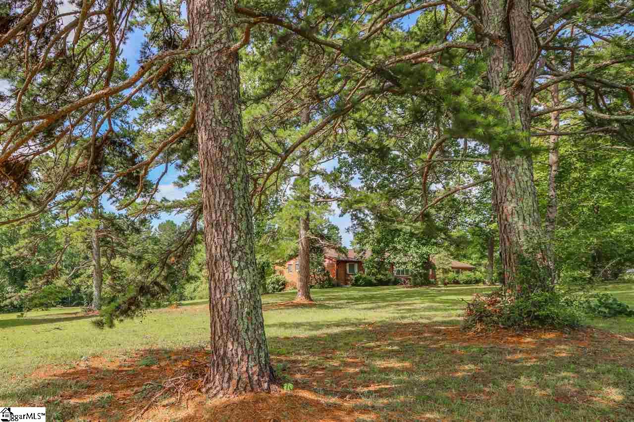 135 State Rd S-42-7023 Campobello, SC 29322 - Photo 28 of 36
