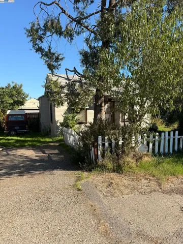 a view of a yard with plants and trees beside of it