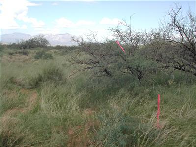 14420 West Winthrop Road Tucson, AZ 85736 - Photo 1 of 2 Gallery Image 1