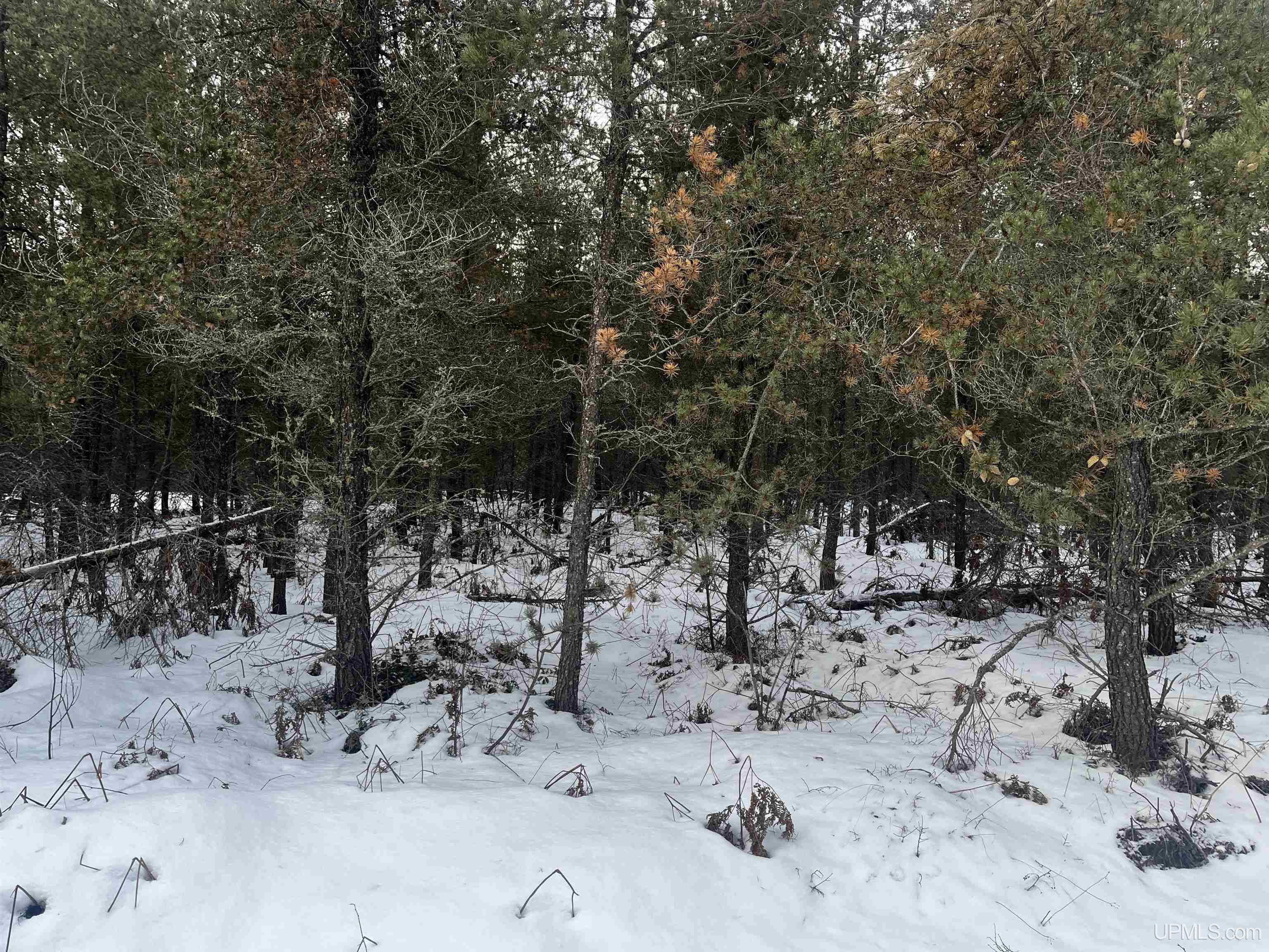 1 Rice Lake Road Gwinn, MI 49841 - Photo 11 of 25