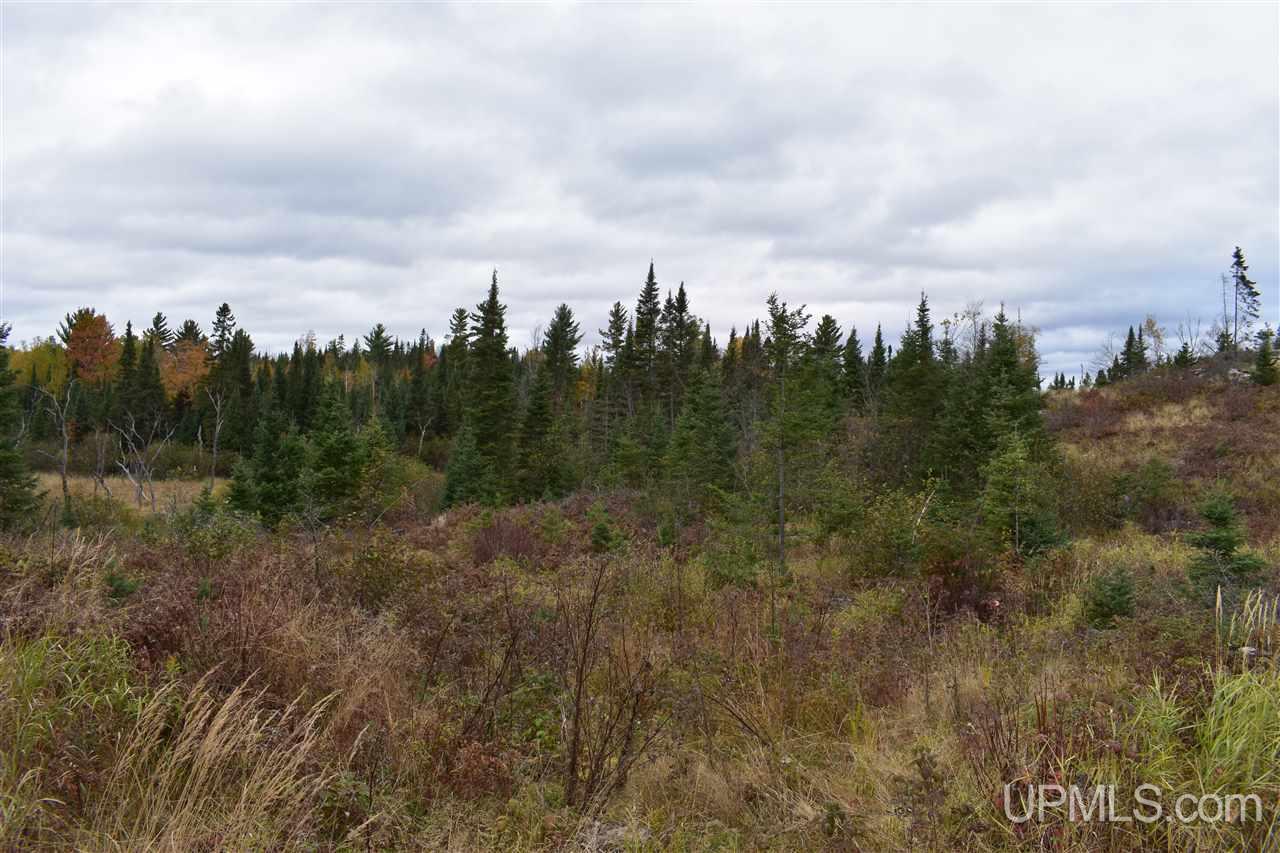 40-acres 40-acres Off Co Road Gwinn, MI 49841 - Photo 14 of 22