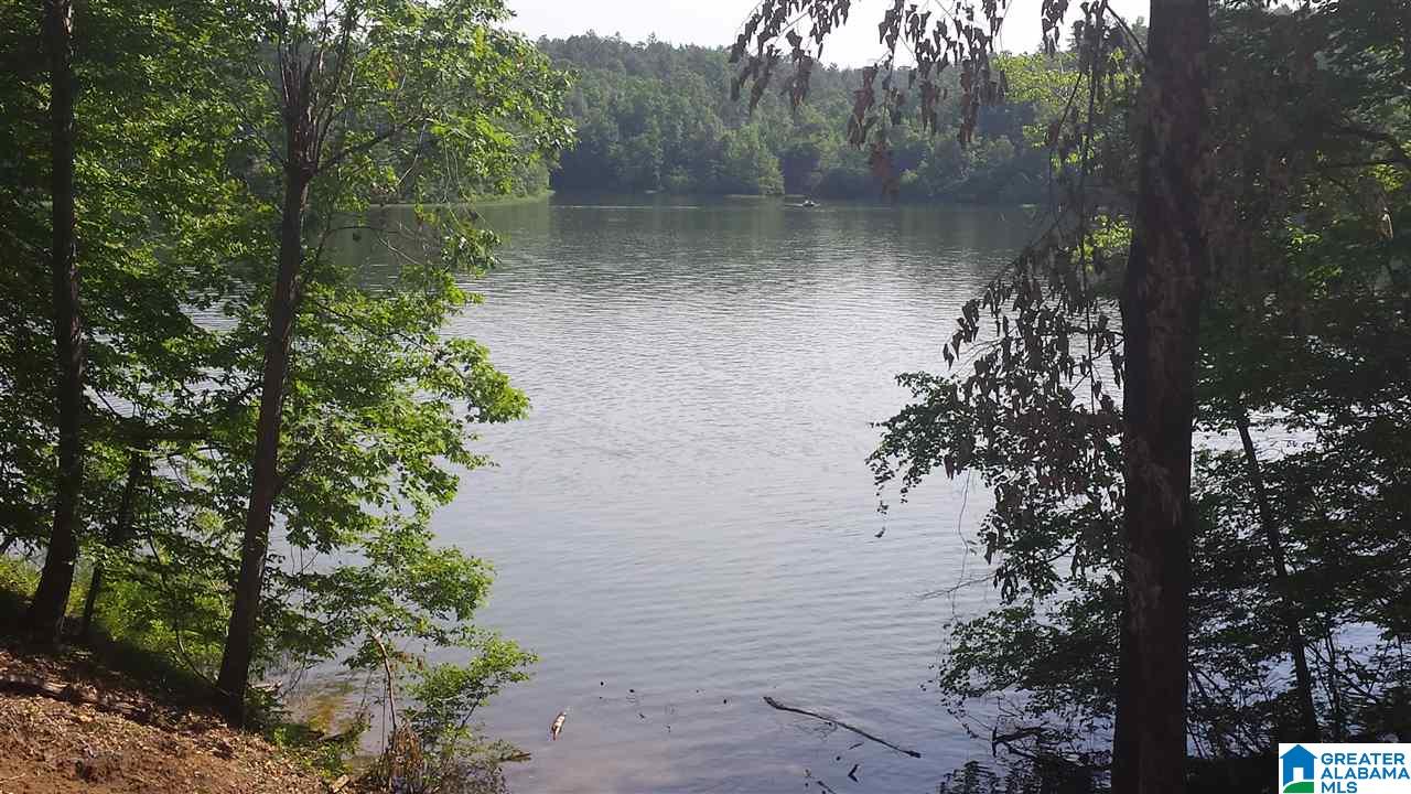 2066 Eagle Mountain Road Rockford, AL 35136 - Photo 5 of 50