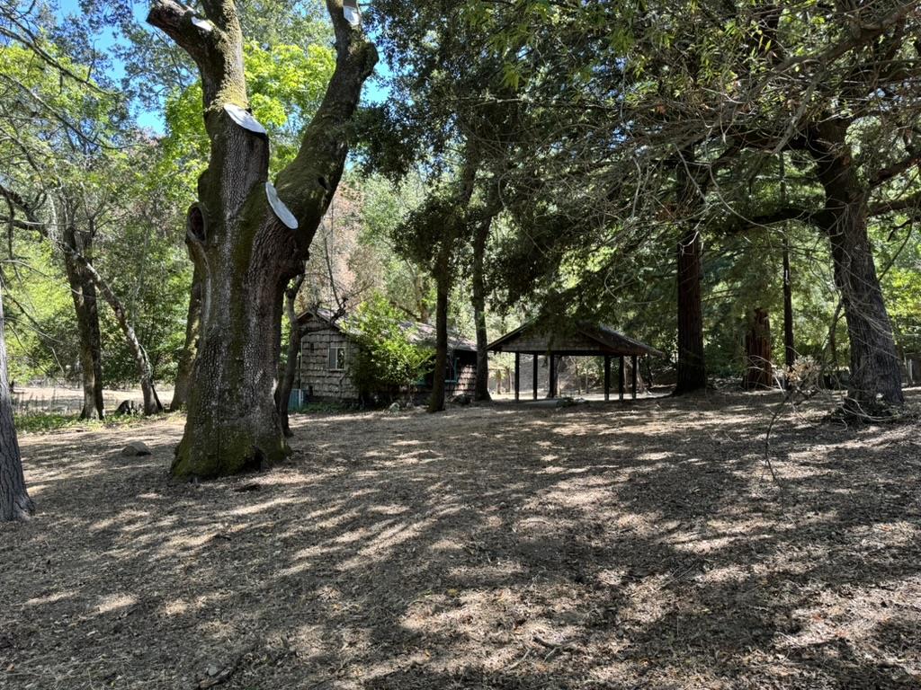 245 Bonita Road Portola Valley, CA 94028 - Photo 11 of 12
