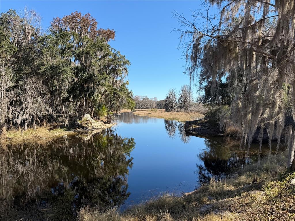 1340 Cypress Cove Court Inverness, FL 34450 - Photo 1 of 30 a view of lake
