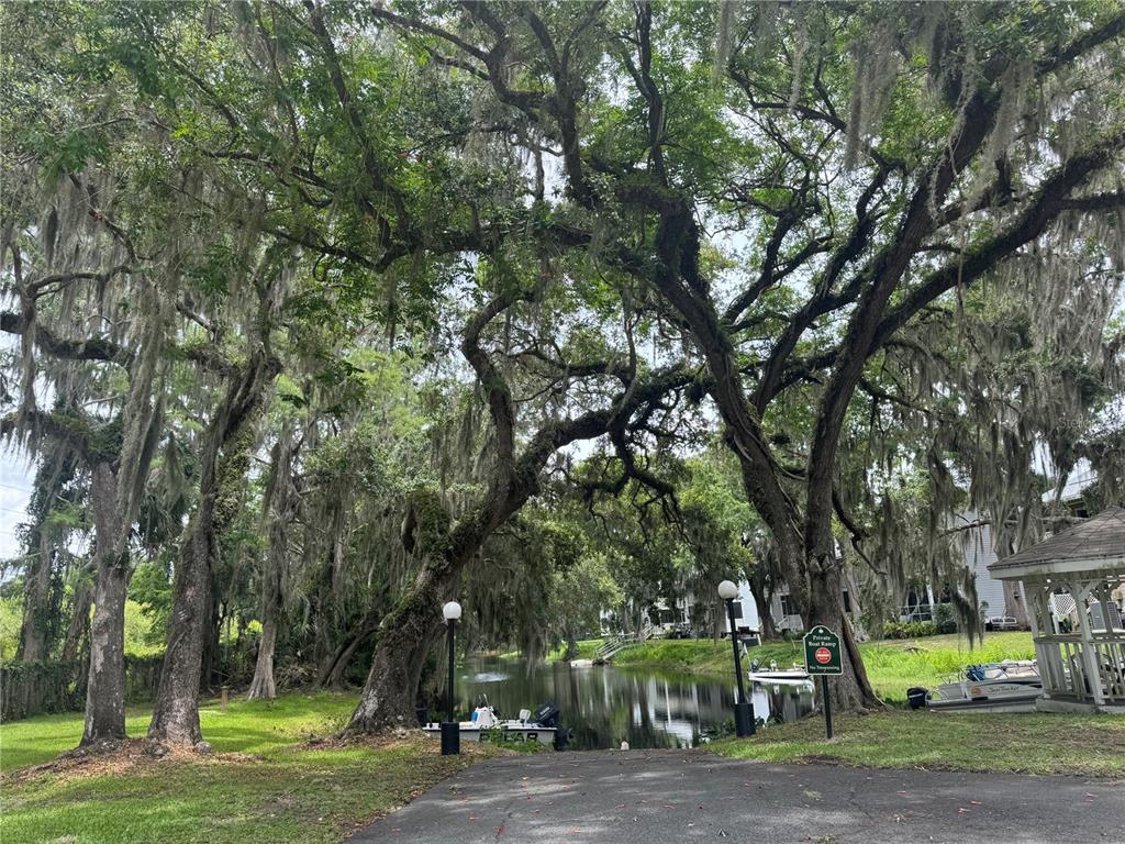 1340 Cypress Cove Court Inverness, FL 34450 - Photo 24 of 30 a view of a park with large trees