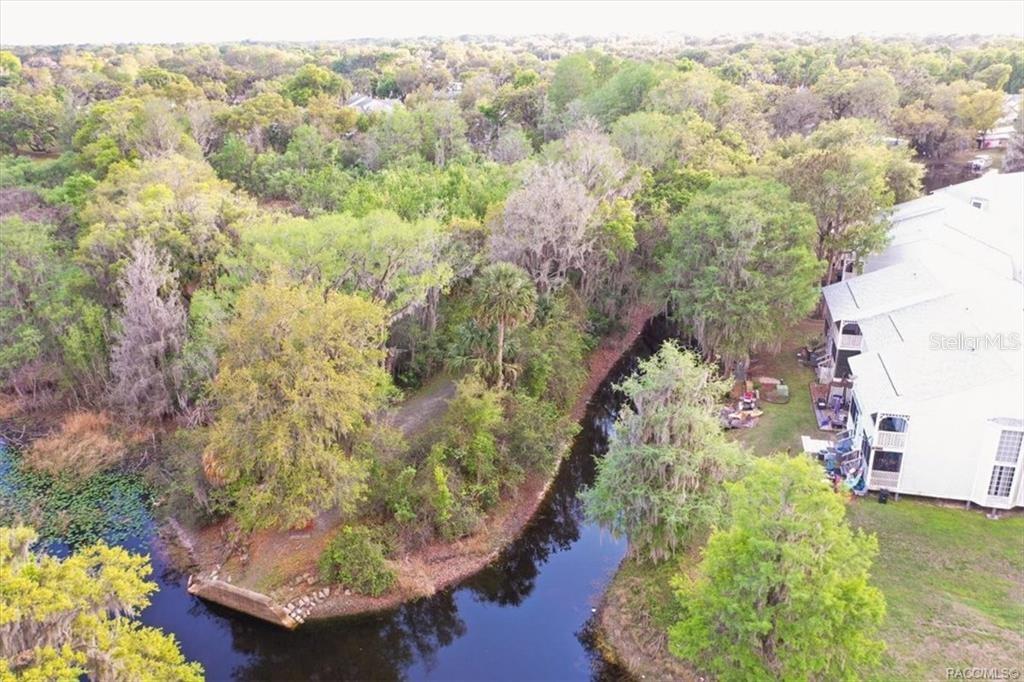 1340 Cypress Cove Court Inverness, FL 34450 - Photo 28 of 30 a view of a lake with a mountain