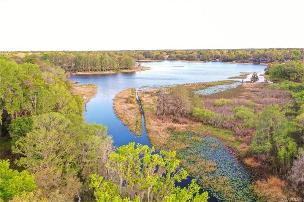 1340 Cypress Cove Court Inverness, FL 34450 - Photo 29 of 30