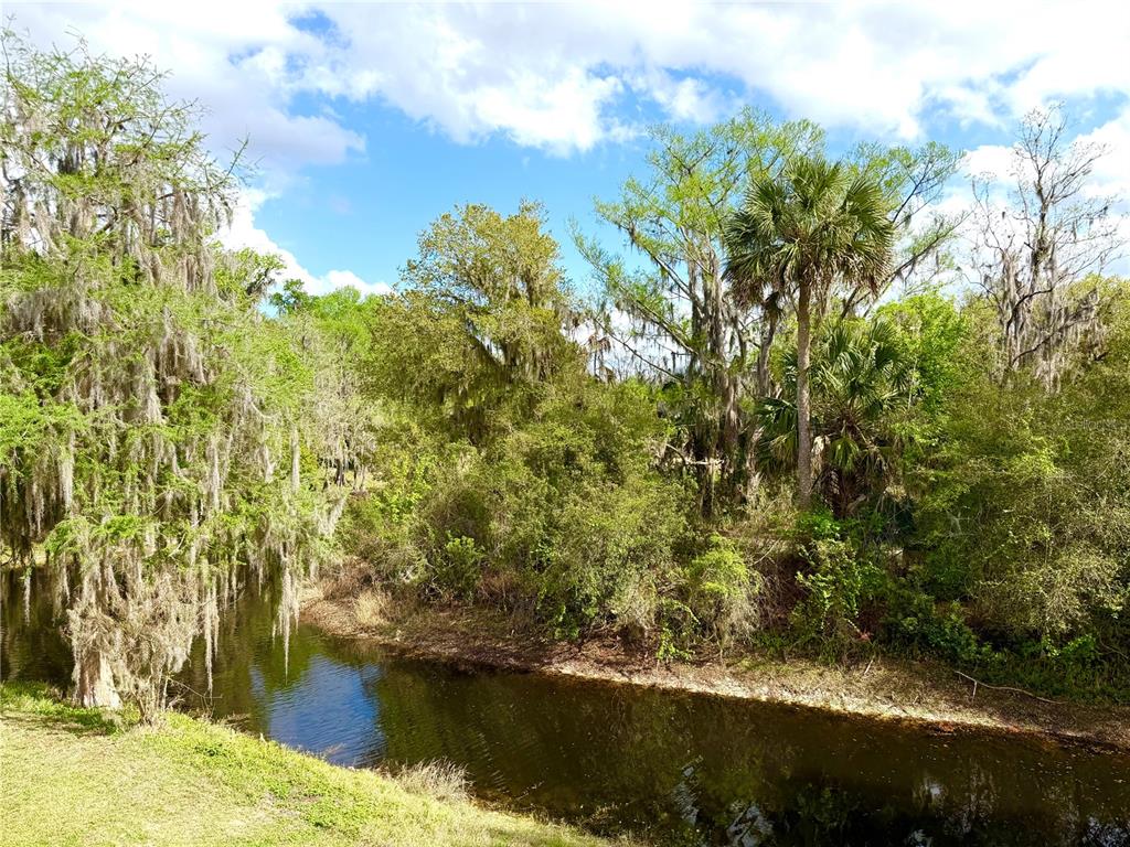 1340 Cypress Cove Court Inverness, FL 34450 - Photo 10 of 30 a view of lake